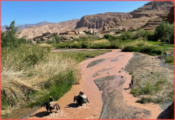 Authentic 5-Day Berber Villages Trek with Local Guides - Immerse in Moroccan Culture