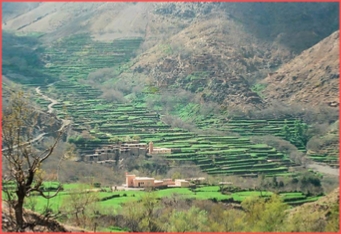 Atlas Mountains Treks