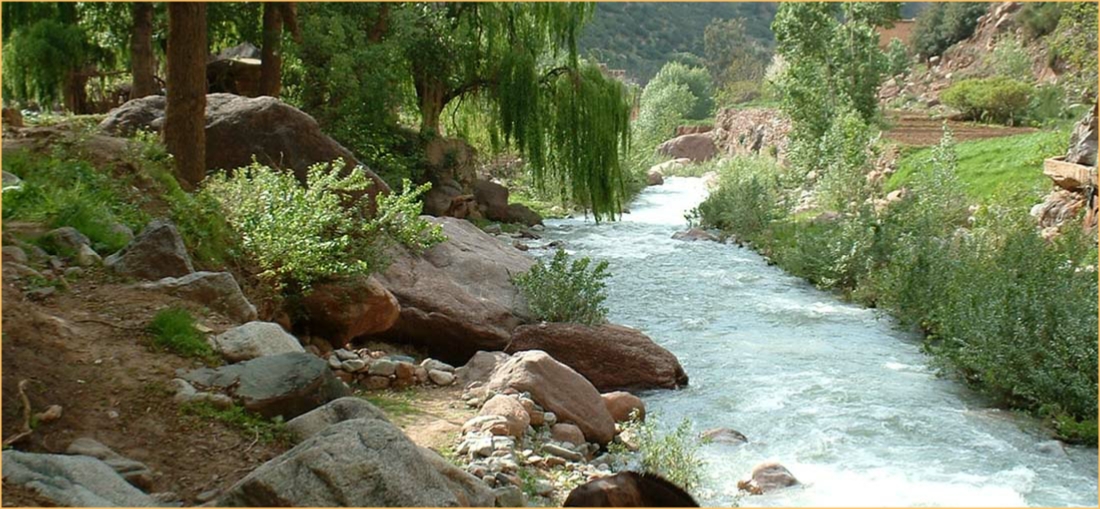 The best €19 Marrakech day trip to Ourika valley