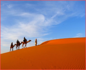 Guided tours from Fes