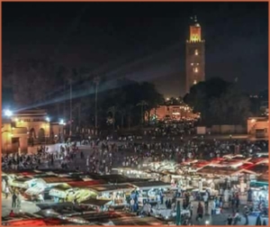 Marrakech ½ day walking tour