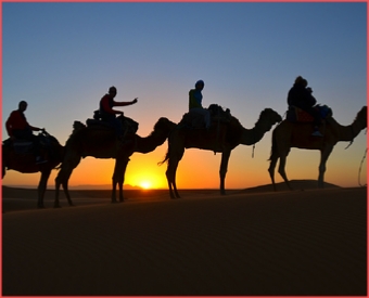 Camel Trekking Morocco
