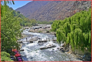Marrakech Day trip to Ourika valley