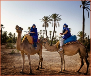 Camel ride in Marrakech