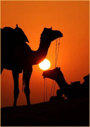  we employ local people