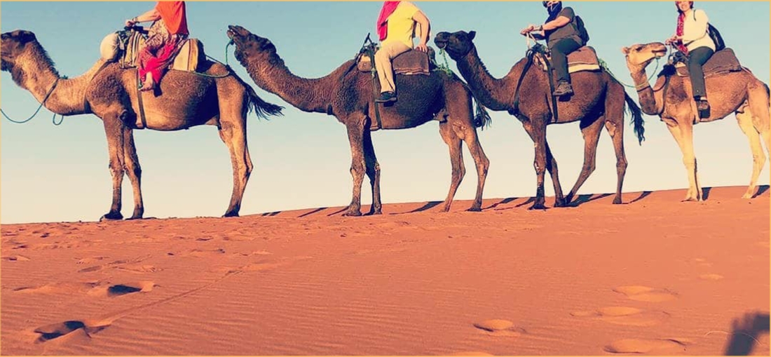 Camel Trekking Morocco Desert tours